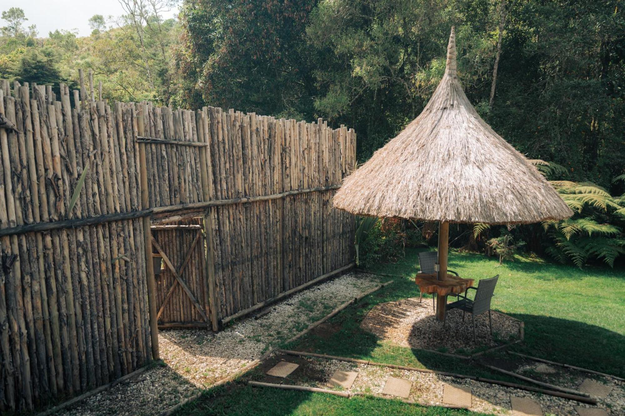 Bubblesky Glamping 15 Min From Medellin Ξενοδοχείο Ριονέγρο Εξωτερικό φωτογραφία